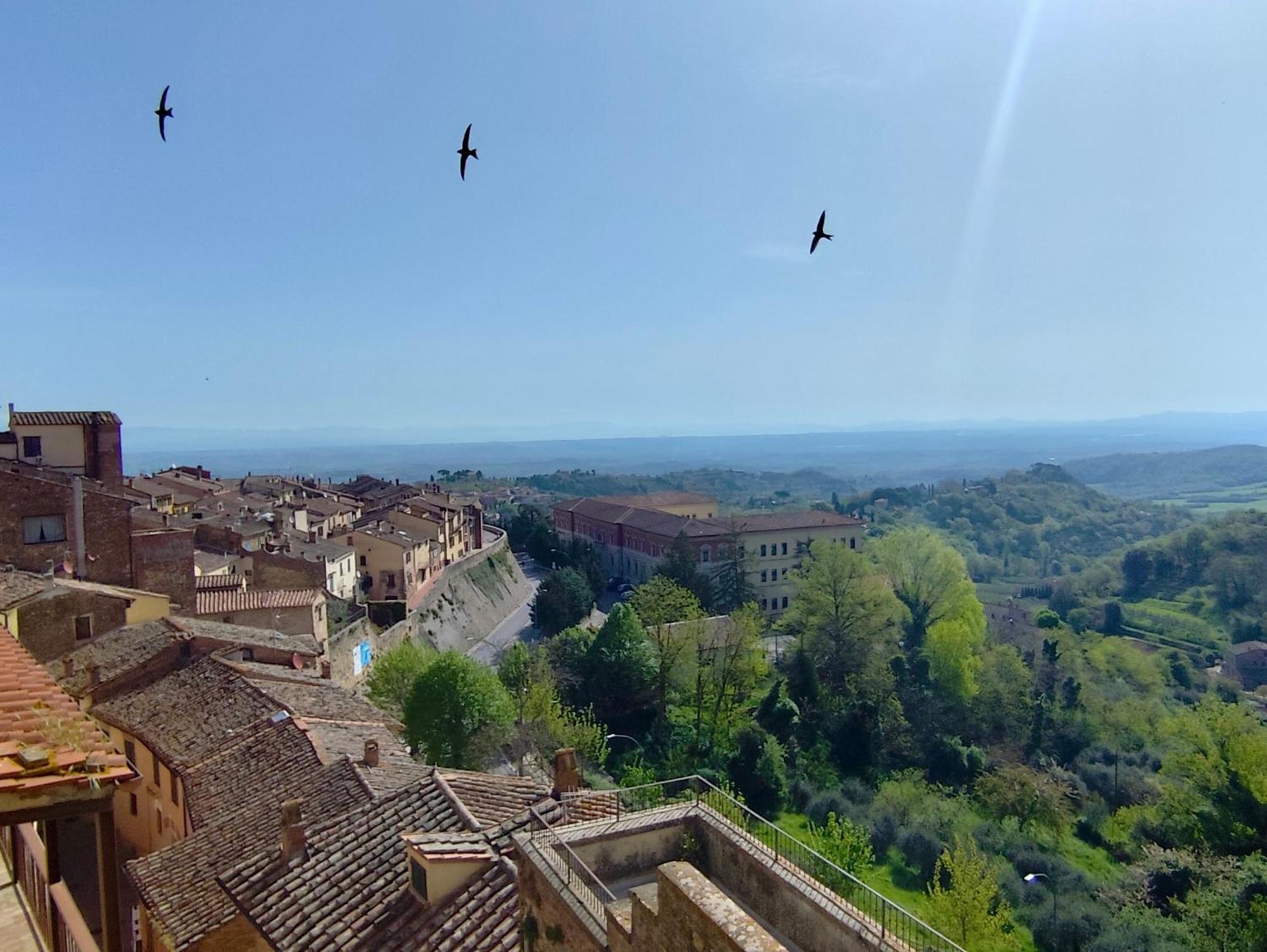 Dimora Dell'Erbe Apartment Montepulciano Stazione المظهر الخارجي الصورة